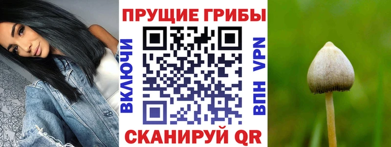Псилоцибиновые грибы MAGIC MUSHROOMS купить наркотик Лесной